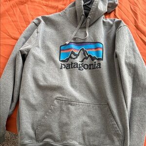 Patagonia Gray Hoodie with Logo
